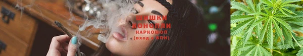 a pvp Рославль